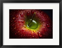 Framed Red Apple