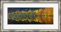 Framed Autumnal Silence