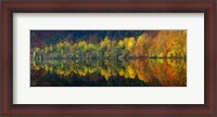 Framed Autumnal Silence