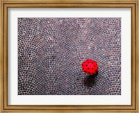 Framed Urban Ladybug