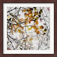 Framed Autumn Song