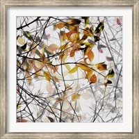 Framed Autumn Song