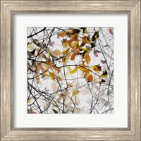 Framed Autumn Song