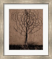 Framed Asphalt Tree