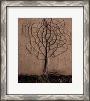 Framed Asphalt Tree