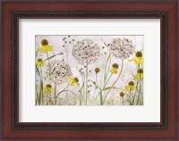 Framed Alliums and Heleniums