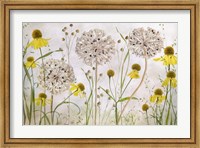 Framed Alliums and Heleniums