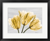 Framed Sunny Trio Tulips