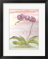 Framed Orchid Trio 2