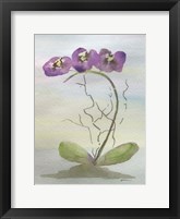 Framed Orchid Duo 2