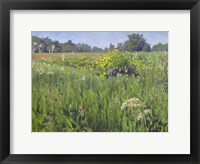 Framed Summer Meadows