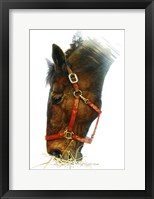Framed Equestian