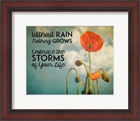 Framed Without Rain Nothing Grows Color
