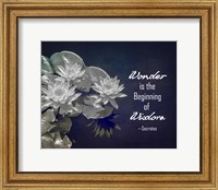 Framed Wonder is the Beginning of Wisdom Water Lily Black and White