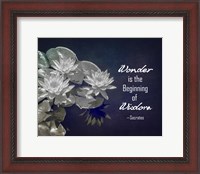 Framed Wonder is the Beginning of Wisdom Water Lily Black and White
