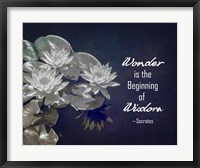 Framed Wonder is the Beginning of Wisdom Water Lily Black and White