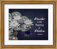 Framed Wonder is the Beginning of Wisdom Water Lily Black and White