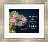 Framed Wonder is the Beginning of Wisdom Water Lily Color