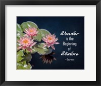 Framed Wonder is the Beginning of Wisdom Water Lily Color