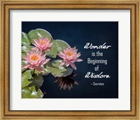 Framed Wonder is the Beginning of Wisdom Water Lily Color