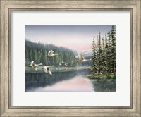 Framed Swans At Sunrise