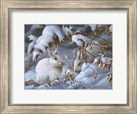 Framed Winter Hares