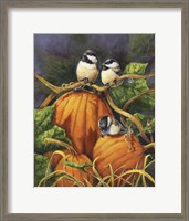 Framed Chickadees And Pumpkins