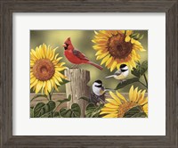Framed Sunflowers and Songbirds
