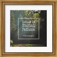 Framed Genius is Eternal Patience - Forest