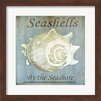 Framed 'Seashells by the Seashore I' border=
