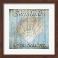 Framed Seashells by the Seashore II