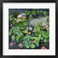Framed Arcadian Lily Pond