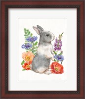 Framed Sunny Bunny IV FB