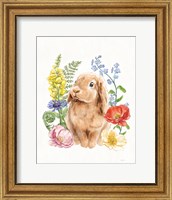 Framed Sunny Bunny I FB