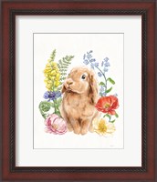 Framed Sunny Bunny I FB