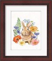Framed Sunny Bunny II FB
