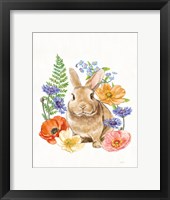 Sunny Bunny II FB Framed Print