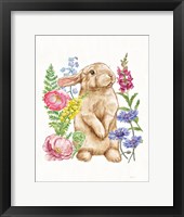 Sunny Bunny III FB Framed Print