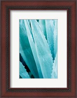 Framed Abstract Agava IV Color
