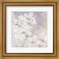 Framed Cherry Blossoms Square