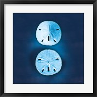 Framed Cyanotype Sea IV