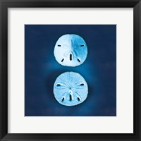 Framed Cyanotype Sea IV