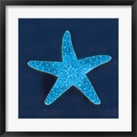 Framed Cyanotype Sea III