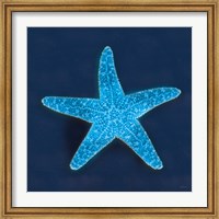 Framed Cyanotype Sea III