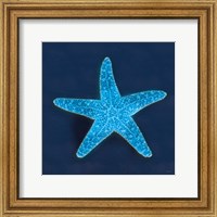 Framed Cyanotype Sea III