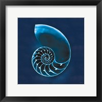 Framed Cyanotype Sea II