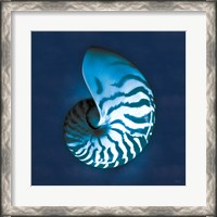 Framed Cyanotype Sea I