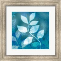 Framed Ink Leaves II