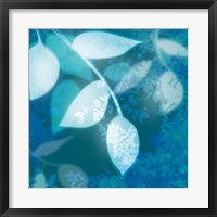 Framed Ink Leaves I