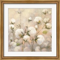 Framed Cotton Field Crop
